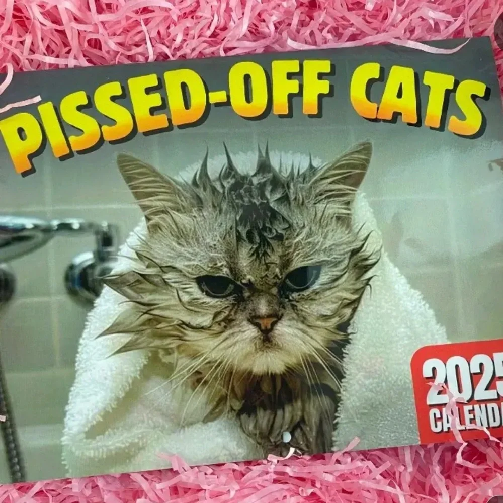 Pissed-Off Cats 2025 Calendar